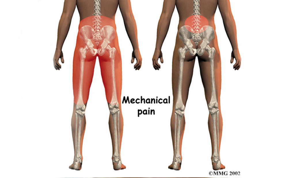 15 top tips to reduce lower back pain when traveling