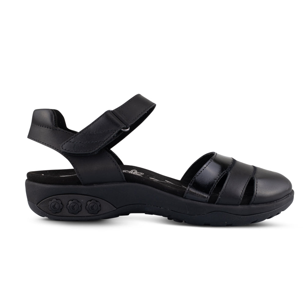 Black Black