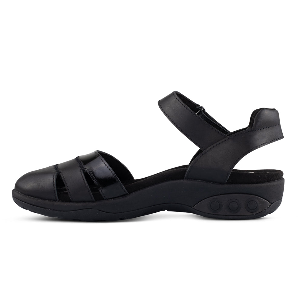 Black Black