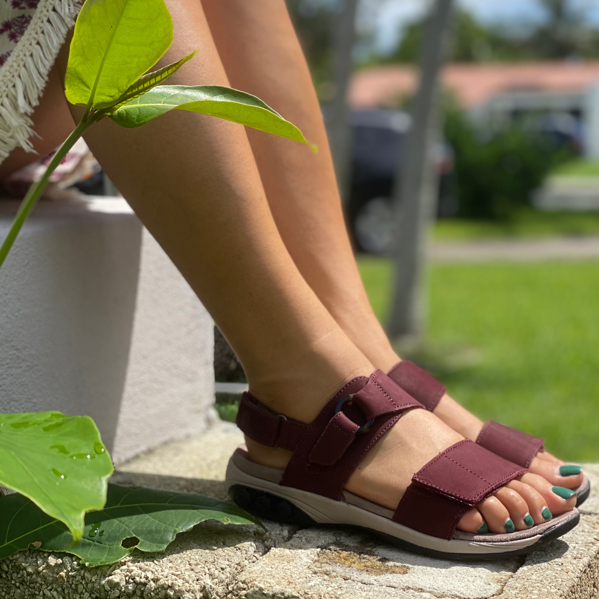 Burgundy